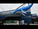 マリホ水族館