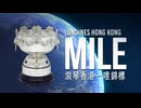 【ウマ娘風】第34回GⅠ香港マイル(シャティン・2024)