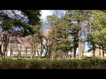 某所の昼下がり、のんびりと。