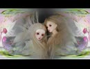 ボカロスキャット　紫　ドール＆フィギュア