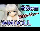 WMDollの85㎝モデル！「#S001 綿綿」開封レビュー！　【ラブドール紹介】【ゆっくり解説・VOICEVOX解説】