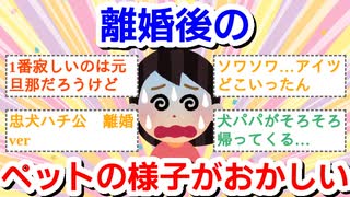 離婚後のペットの様子がおかしい
