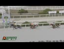 2024年12月12日園田競馬6R ２０２４ＹＪＳファイナルラウンド園田第１戦(C2) ラディアントホース