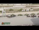 2024年12月12日園田競馬8R ２０２４ＹＪＳファイナルラウンド園田第２戦(C2) ハテナビト