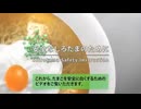 ネットミーム名作集