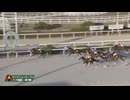 2024年12月12日園田競馬10R ２０２４ＹＪＳファイナルラウンド園田第３戦(C2) マリノマジカル