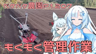 2024年12月12日　農作業日誌P1207　出だしが悪いけど管理機や耕運機を使った管理作業頑張る