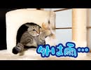 外は雨なんですが…