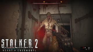 姿消えるこいつはしゃがめば意外と攻撃が当たらない【STALKER2】【HeartofChornobyl】【実況】#11