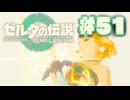 【ぽつぽつ実況 #51】退魔の剣【ティアーズオブザキングダム】