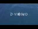 Humpback Whale Migration - Whale Breaching Then Dive Into The Deep Blue Sea
