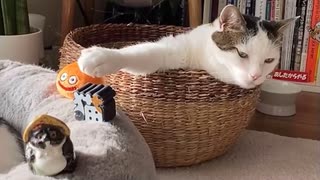 タッチ