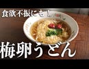 【梅×うどんが美味い】食欲不振でも食べられる『梅卵うどん』の作り方