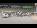 2024年12月13日川崎競馬12R ４６ｔｈホワイトクリスマス賞(C1・C2白毛芦毛選定馬) グラスアラバニーユ