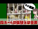 【 #フクロモモンガ 】段ボール交換することは、怪我防止にも大切なのです！【 #おはモモンガ 】【 #shorts 】