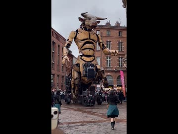 ホモと見るフランスのねぶた祭