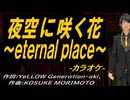 【ニコカラ】夜空に咲く花～ｅｔｅｒｎａｌ ｐｌａｃｅ～【off vocal】