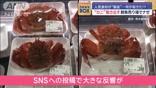 鮮魚売り場でカニ“脱走”