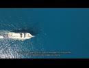 Blackfin Fuels