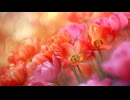 【素材BGM】RPGに使えそうなものメドレー【オリジナル】