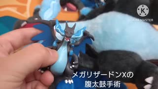 【リザードン】メガリザードンXの腹太鼓手術【メガリザードンX】