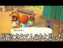 【どうぶつの森】親知らず抜いたのでどうぶつ達と会話を試みる。