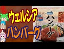ウェルシアのおいしい介護食品-YSフーズウェルシアとろける味わいハンバーグ[世界のグルメを食べ尽くせ！]