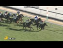 2024 ヤングJSFR中京1戦 (3歳以上1勝クラス)　タガノデュード　室 陽一朗