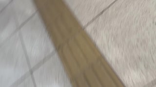 横浜で何かしようと思ったけど、何もしなかった時のやつ