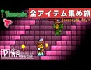 【全アイテム集め旅】ダブルカーメン作業動画 【テラリア】DAY4