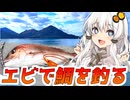 紲星あかりに釣られてみる？ エビで鯛を釣る【VOICEROIDフィッシング】