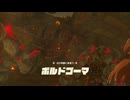 【ゼル伝TotK】おててと旅するリンクさん　パート４５【もちまる】