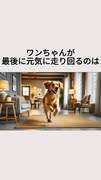 ワンちゃんが亡くなる直前に元気になるのは・・・