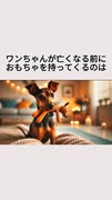 ワンちゃんが亡くなる前におもちゃを持ってくるのは・・・