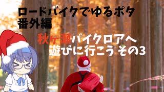 ロードバイクでゆるポタ 番外編 秋ヶ瀬バイクロアへ遊びに行こうその3