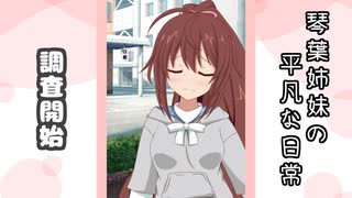 琴葉姉妹の平凡な日常 168『どうぐ屋③』【VOICEROID劇場】