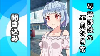 琴葉姉妹の平凡な日常 169『どうぐ屋④』【VOICEROID劇場】