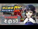 【ソニックアドベンチャーDX】懐かしさに焼かれるゆるりんごのスピード世界マイWAY！その30【ナックルズ】