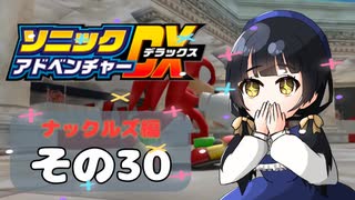 【ソニックアドベンチャーDX】懐かしさに焼かれるゆるりんごのスピード世界マイWAY！その30【ナックルズ】