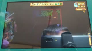 Switchスタデューバレー