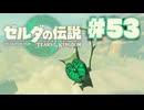 【ぽつぽつ実況 #53】砂漠【ティアーズオブザキングダム】