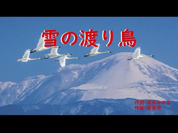 雪の渡り鳥