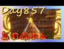 【毎日投稿】ムキ・ムキ・ムキへの道！！！【RFA負荷23】#857