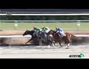 ワンカードフェロー　中山・2歳新馬戦　2024年12月14日