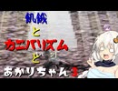 【Kenshi】飢餓とカニバリズムとあかりちゃん３【VOICEROID実況】