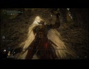 【ELDEN RING】ミケラの王、ラダーンに貴人の細剣とバックラーで挑む【DLC/Shadow of the Erdtree】