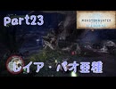 【独り言実況】ゲーム内方向音痴が喘ぐ？モンハンアイスボーン【Part23】