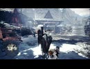 【MHW_IceBorne】#11