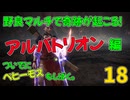 野良マルチでまさかの奇跡が起きる！18