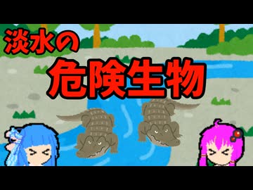【VOICEROID解説】ゆかり先輩と見る危険生物【淡水編⑨】